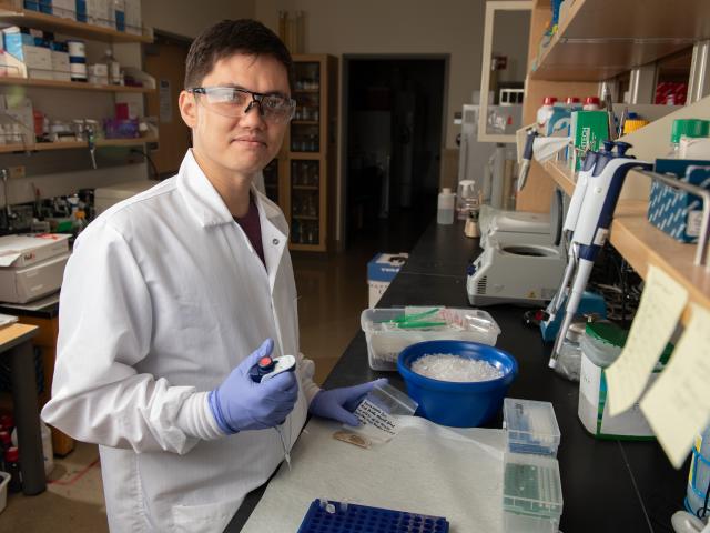 Charlie Alex, a Post Doctoral Scholar, prepares red panda fecal samples for DNA extraction. 